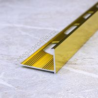 Алюмин. Г-обр. профиль ПА-Г10/1 золото/глянец 2,7м, шт.