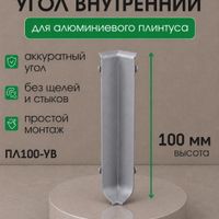 Угол внутренний алюминиевый для ПЛ100 серебро/матовое