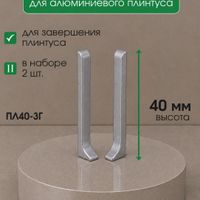 Заглушки алюминиевые для ПЛ40 серебро/матовое (пара)
