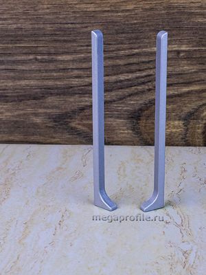 Заглушка алюмин. для ПЛ100 серебро/матовое (пара)