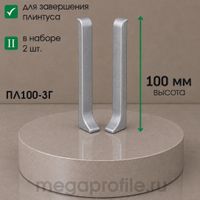 Заглушки алюминиевые для ПЛ100 белый/муар (пара)
